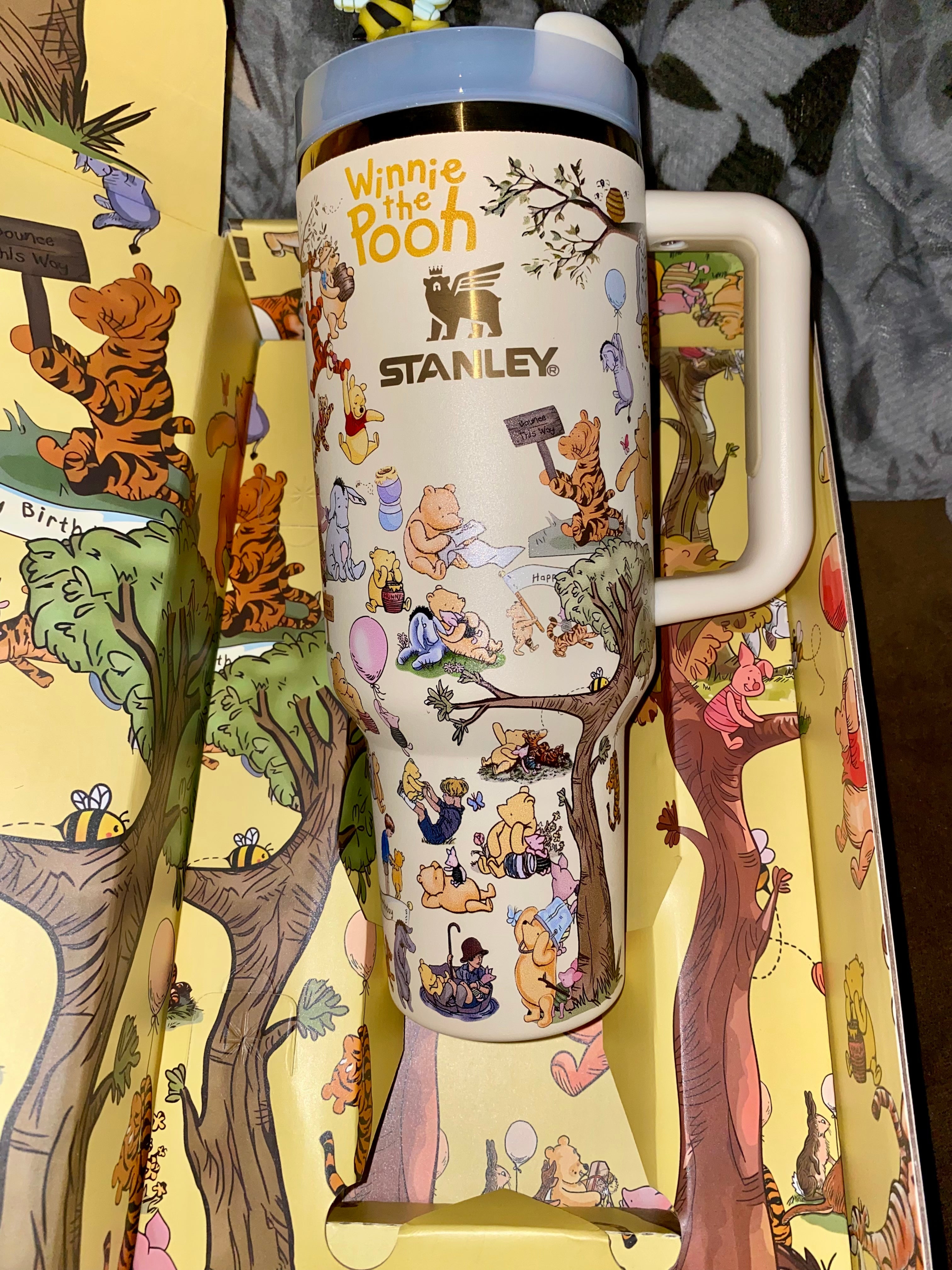 Pooh Insulated Cup Gift Box 40OZ Include Straw and Topper
